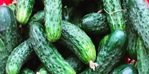 Sok od krastavca za zimu: recepti za pravljenje kroz sokovnik